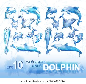 Set of pencil sketches and watercolor images of dolphins. Vector illustration.