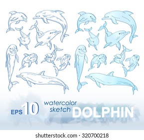 Set of pencil sketches and watercolor images of dolphins. Vector illustration.