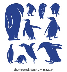 Set of Penguin bird logo design vector. Icon Symbol. Template Illustration