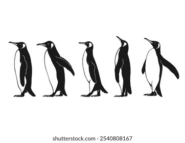 Conjunto de pinguim. Ilustração de vetor desenhada à mão sobre fundo branco