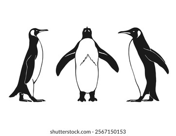 Set of penguin. Hand drawn vector illustration on white background