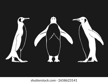 Conjunto de pingüino. Ilustración vectorial dibujada a mano.