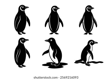 set of Penguin shillouette vector illustration