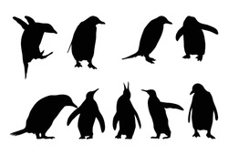 Set of Penguin silhouette icon logo template vector illustration design