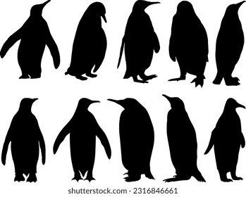 Set of Penguin Silhouette, Polar Animal