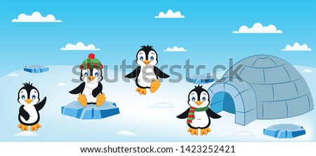 Similar – Image, Stock Photo new home. Penguin Penguins