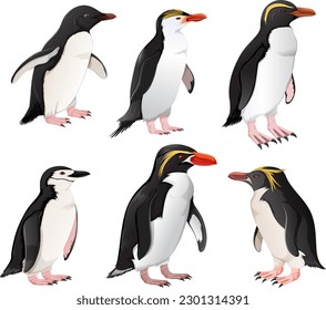 Set of penguins in different species illustration