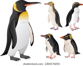 Set of penguins in different species illustration