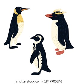 Set penguins isolated on white background. Different penguin: african, macaroni, emperor. Cute birds from arctic hand drawn style. Collection funny cartoon character. Design vector illustration.