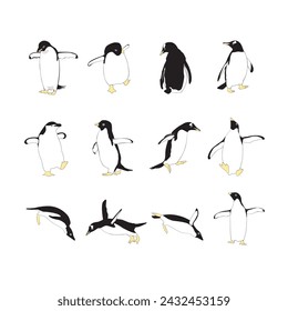 Set of penguins on white background