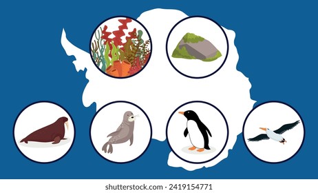 Set of penguins and sea animals. Vector illustration in flat style