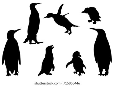 Set of Penguins  Silhouettes - Vector Illustration