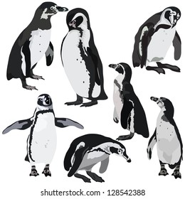 Set of penguins in various poses