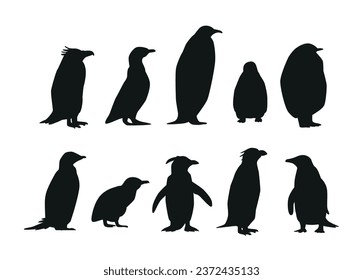 Set of Penguins Various Species Black Silhouettes. Emperor, Adelie, Gentoo, Rockhopper, King and Macaroni, Fluffy