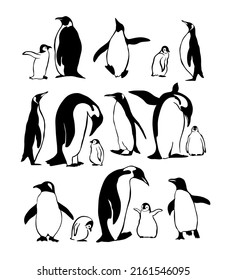 Set of penguins. Vector illustration