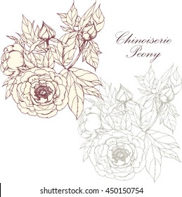 Set  with peonies, on white background for wedding, scrapbooking, wallpaper and other design. Chinese Peony.