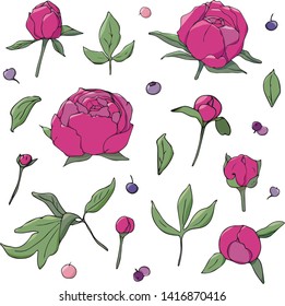 A set of peonies and other flower elements in color