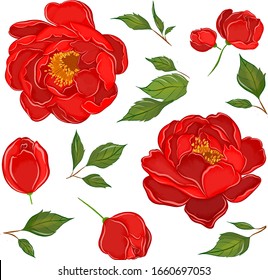conjunto de peonías rojas y hojas para crear un patrón de composición flores ilustración vectorial