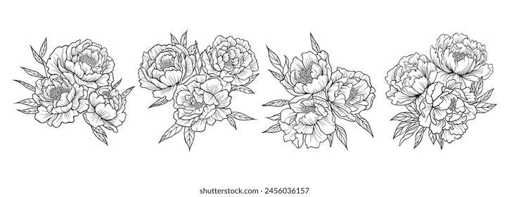 Set of peony bouquets. Peonies drawn using sketch technique. Peonies hand drawn outline isolated on a transparent background.