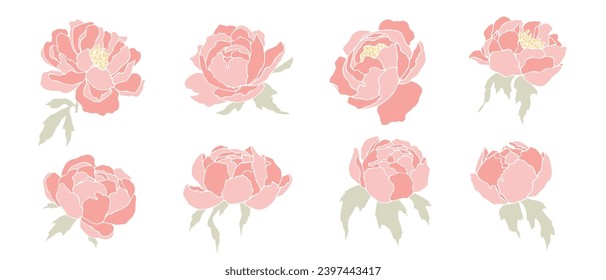 Montaje de flores de peonía y brotes. Gráficos vectoriales.