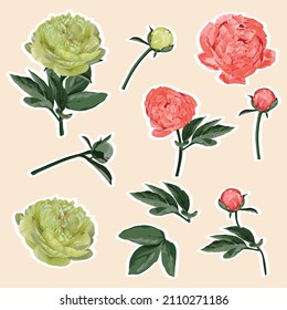 Set of peony flowers elements. Set of stickers, pins, patches and handwritten notes collection stikers kit.