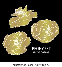 Set of Peony flowers hand drawn vector illustration. Line-art on black background. Spring flowers in gold color with white contour lines. Engraving flower collection. Template greeting card, wedding.
