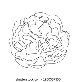 set of peony flowers illustration. hand drawn continuous line drawing of abstract flower. peony icon.
