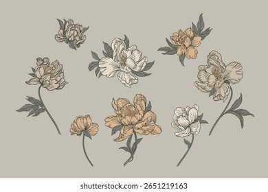 Set with peony flowers. Soft beige and earthy tones, set against a muted gray background.
