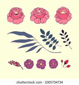 Set of peony flowers in vintage style. Vector image in the style of hand-drawn.