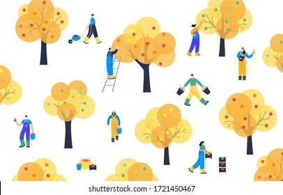 Set of people, picking apples from a tree and transport them using boxes, baskets and buckets. Autumn harvesting. Adult male and female cartoon action characters. Gardening concept for poster, banner