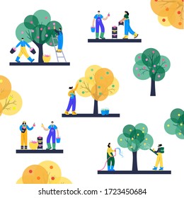 Set of people, picking apples from a tree and transport them using boxes, baskets and buckets. Watering and fertilize. Adult male and female cartoon characters. Gardening concept for poster, banner.