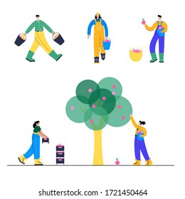 A set of people who collect apples from a tree and transport them using boxes, baskets and buckets. Adult male and female cartoon action characters. Gardening concept for poster, banner.