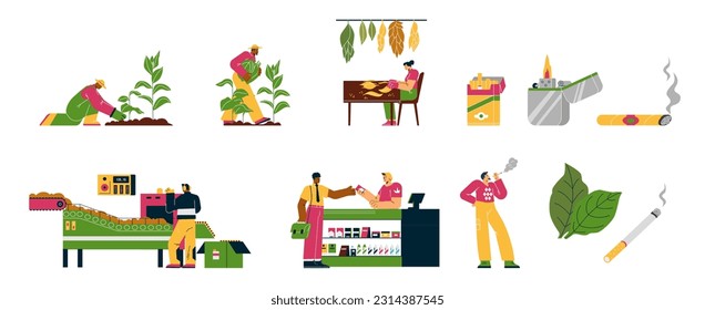 Set of people working at tobacco industry flat style, vector illustration isolated on white background. Cultivation, selling and smoking, design elements collection, cigarettes and lighters