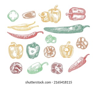 Set of pepper hand drawn sketch. Red hot chili peppers and bell peppers sketch illustration. Detailed pepper drawing. Engraved style illustration.