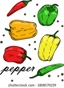 Set of peppers in different colors. Vector pepper and paprika red orange yellow and green color on a white background.