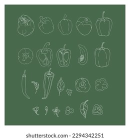 Set of peppers on green background. Parts of peppers, pieces of pepper. Hand-drawn white outline.