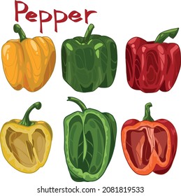 A set of peppers of various colors. Red, yellow and green. Whole and in section