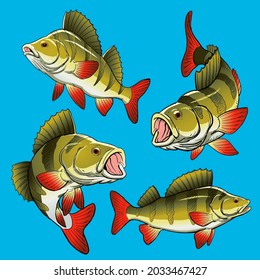 Set of Perch fish for gamefish bundle collection