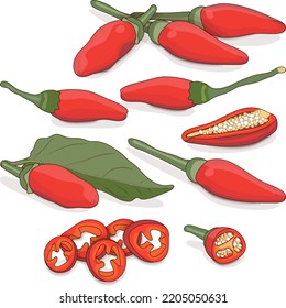 Set of Peri peri chili peppers. Piri Piri. Piripiri. Pili pili. Bird's eye peppers. Siling labuyo. Vegetables. Cartoon style. Vector illustration isolated on white background.