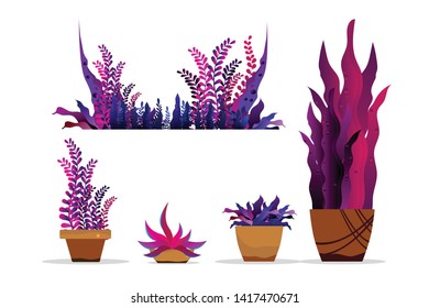 set of perple plant pot in flat design