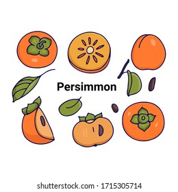 Set of persimmon fruit related filled outline icons. Hand drawn cartoon vector stock illustrations included persimmon, leaves, seeds in different views, isolated on white background.