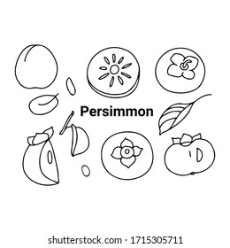Set of persimmon fruit related outline icons. Hand drawn vector stock illustrations included persimmon, leaves, seeds in different views. Black graphic, isolated on white background.
