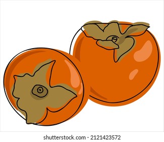 Establece el persimón aislado en el fondo blanco. Ilustración vectorial plana, dibujo manual