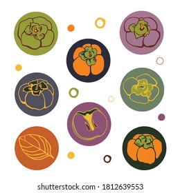 Set with persimmon on color background. Flat style. Vector illustration.
Illustration for wrapping paper, post cards, prints for clothes, and emblems. 
