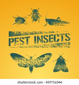 Set of pest insects vector  illustration. Agriculture and garden pest bugs, fly, colorado beetle, locust, moths as silhouettes and icons. Pest insects stamp symbol