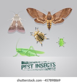 Set of pest insects vector realistic illustration. Agriculture and garden pest bugs, fly, colorado beetle, locust, moths. Pest insects stamp sign