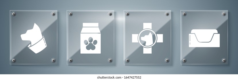 Set Pet bed, Veterinary clinic symbol, Bag of food for pet and Cat. Square glass panels. Vector