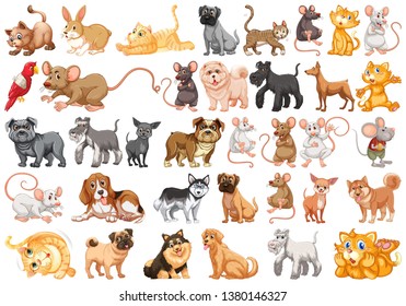 Set of pet character illustration