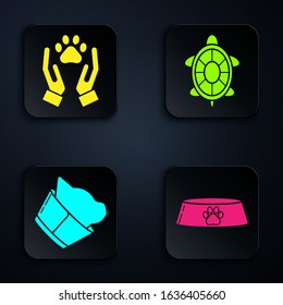 Set Pet food bowl for cat or dog, Hands with animals footprint, Veterinary clinic symbol and Turtle. Black square button. Vector