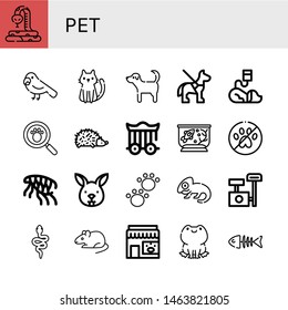 Set of pet icons such as Snake, Parrot, Cat, Dog, Guide dog, Veterinary, Paw print, Hedgehog, Cage, Fish tank, No pets, Flea, Bunny, Animal, Chameleon, Scratching post, Rat , pet